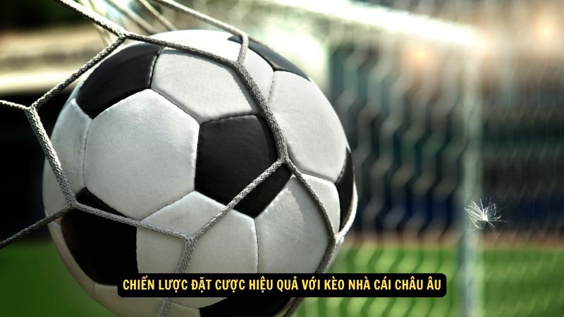 Kèo Nhà Cái Châu Âu: Những Kèo Nổi Bật Và Dự Đoán Đột Phá 5 Chiến lược đặt cược hiệu quả với kèo nhà cái châu Âu