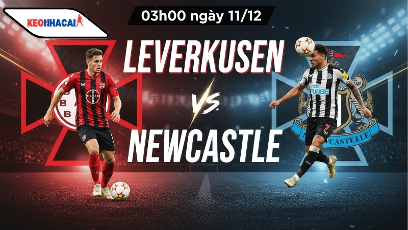 nhan-dinh-bong-da-leverkusen-vs-newcastle-03h00-ngay-11-12 Nhận định bóng đá Leverkusen vs Newcastle, 03h00 ngày 11/12